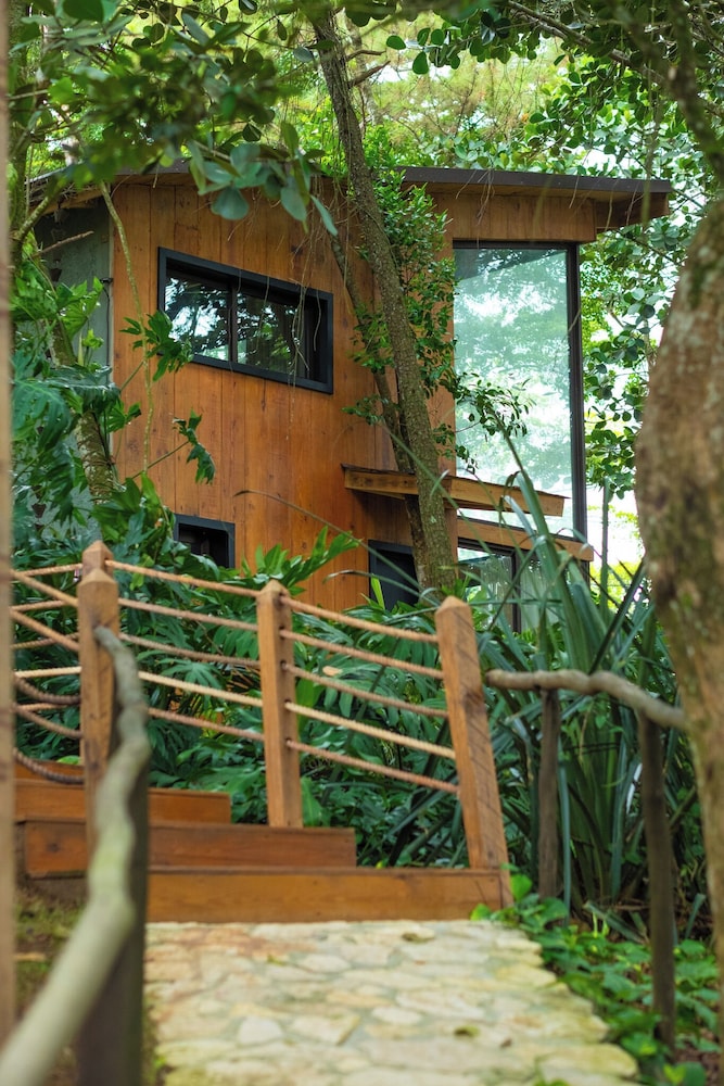 The Grand Forest Jarabacoa