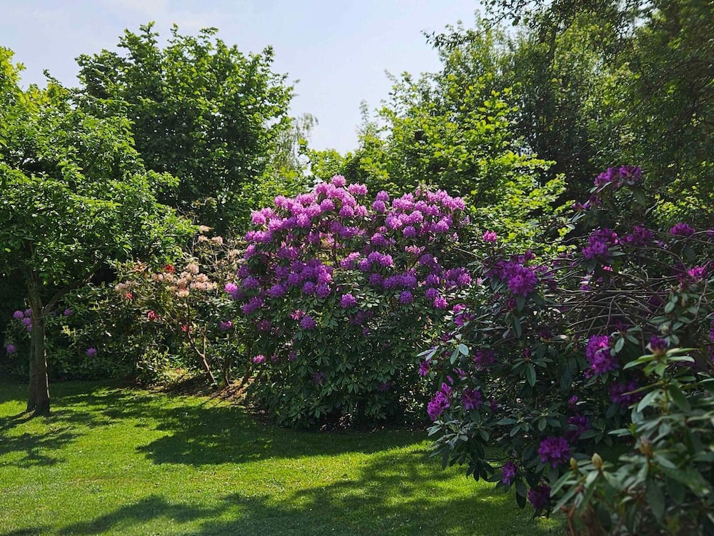 4 Star Holiday Home in Asnaes