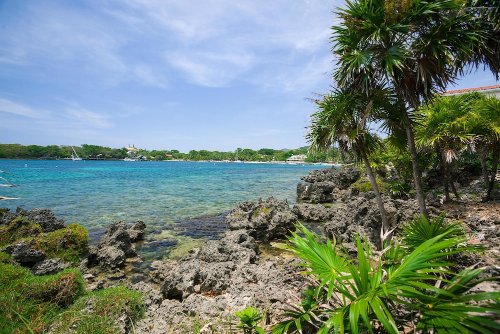 Coral Vista 3