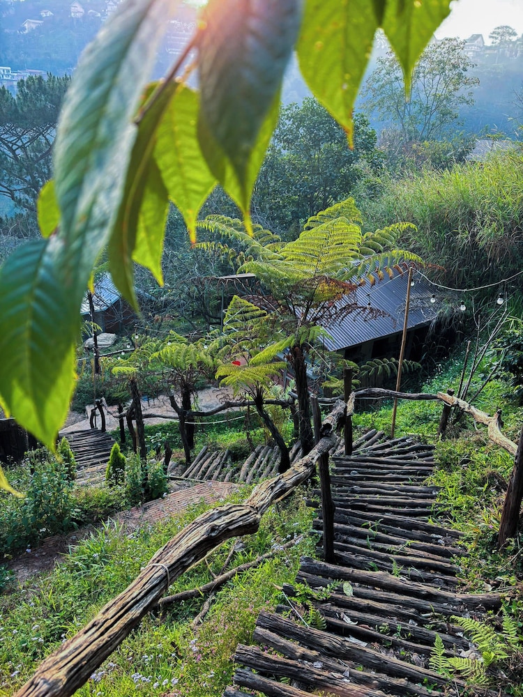 Dong Homestay