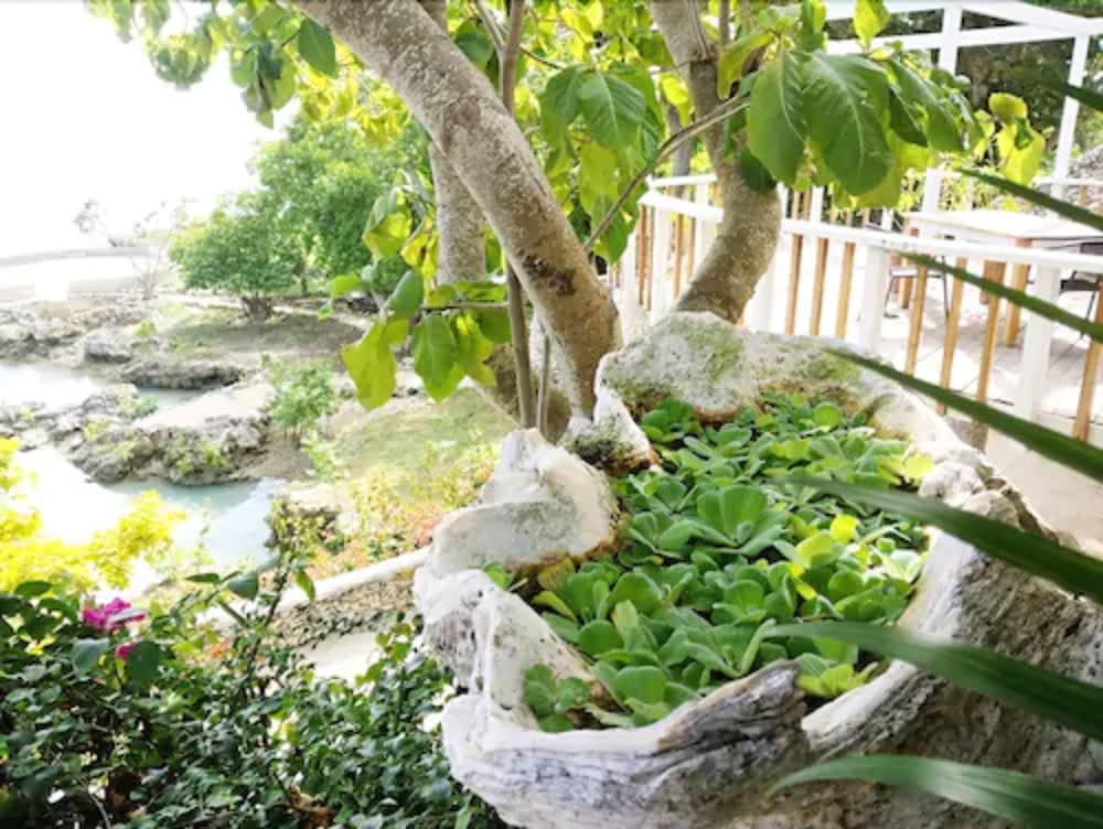 Tanna Evergreen Resort & Tours