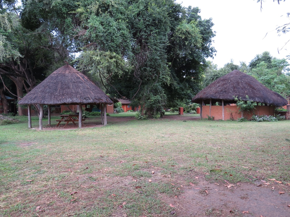 Croc Valley Camp