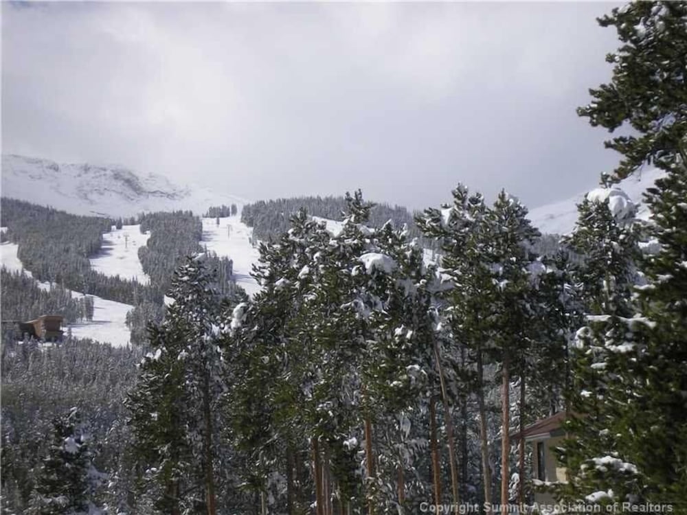Timber Hill