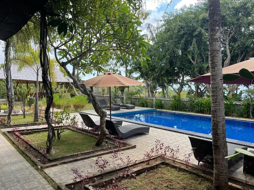 Photo 19