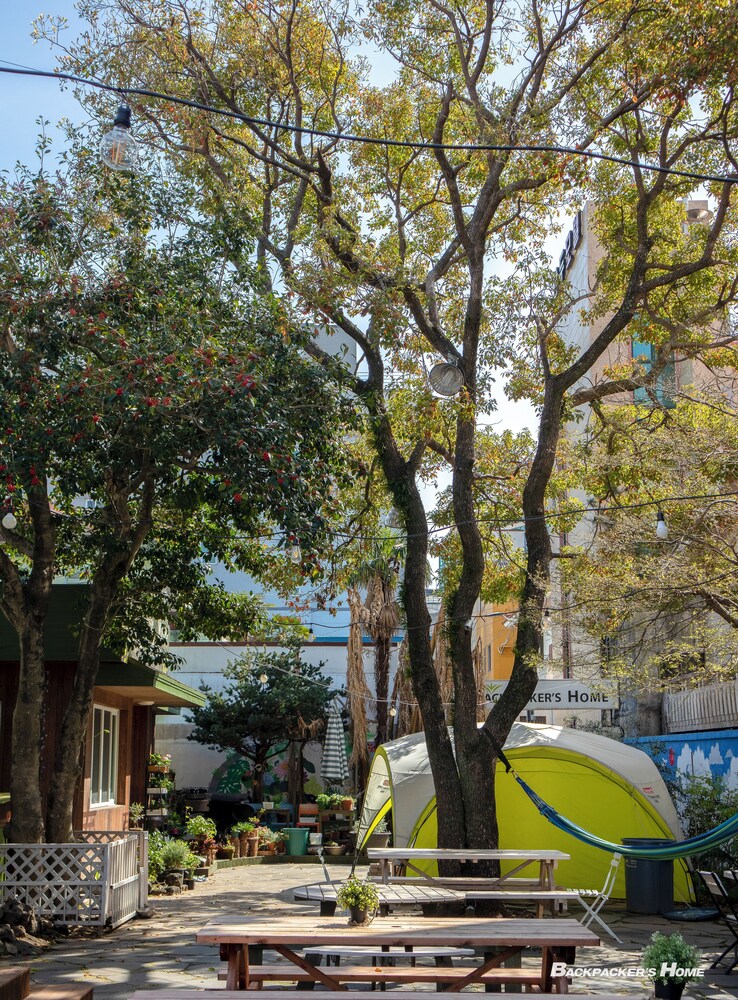 Backpacker's Home 37