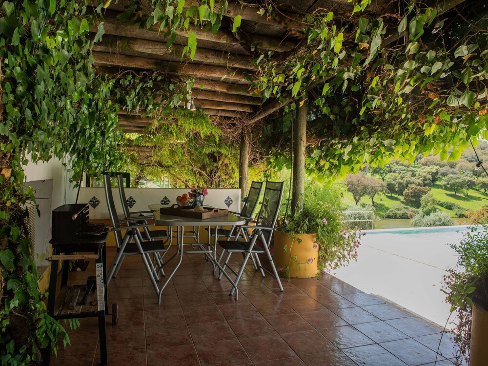 Country Mansion in Montemor-o-novo Alentejo view 5