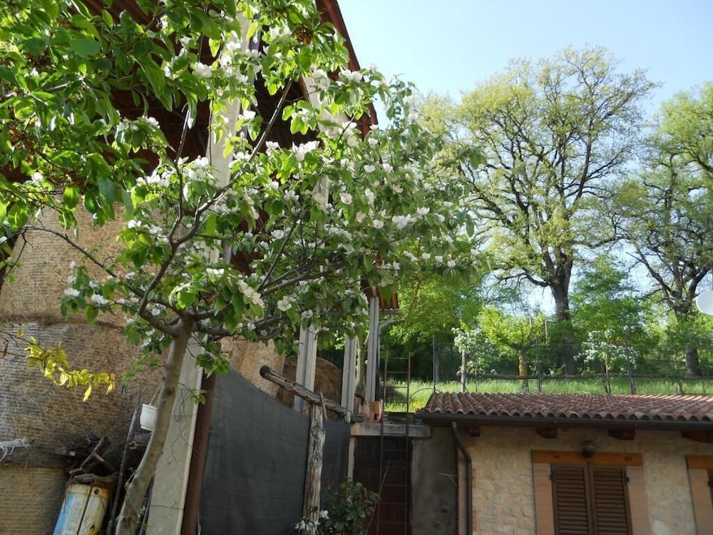 Agriturismo Monti Sibillini Camperato