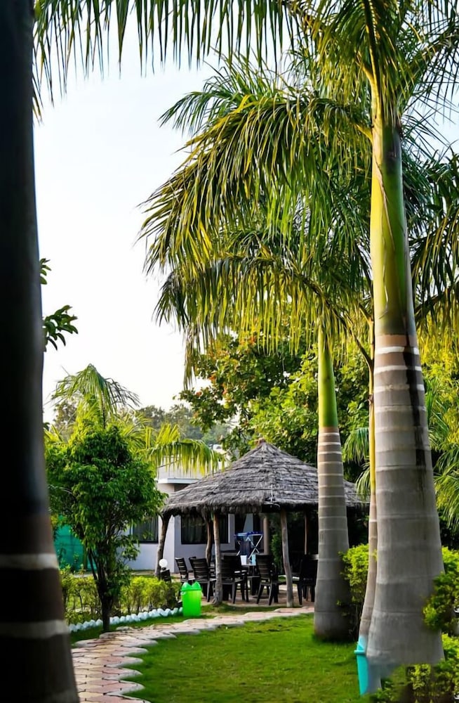 Kingfisher resorts