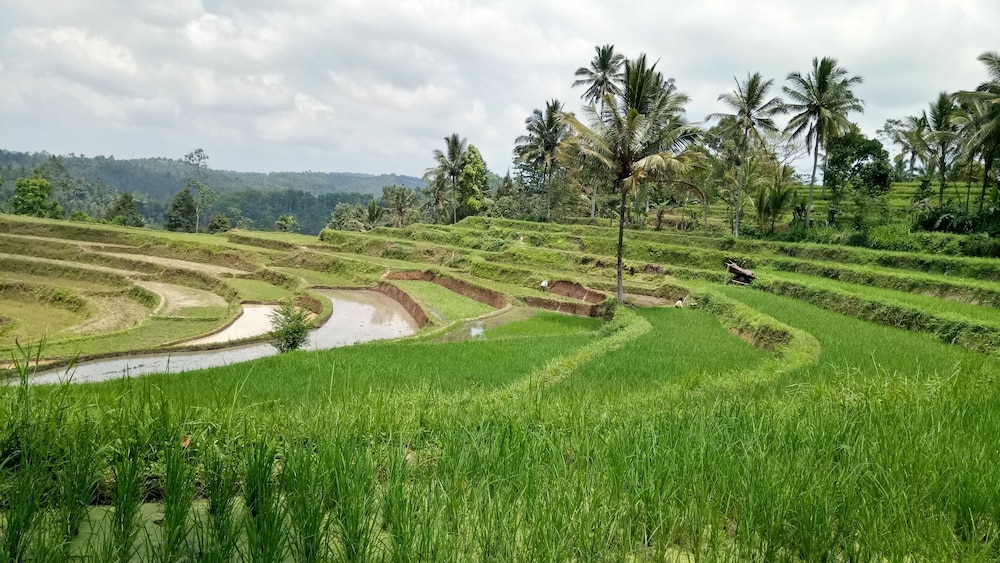 Asparin Homestay