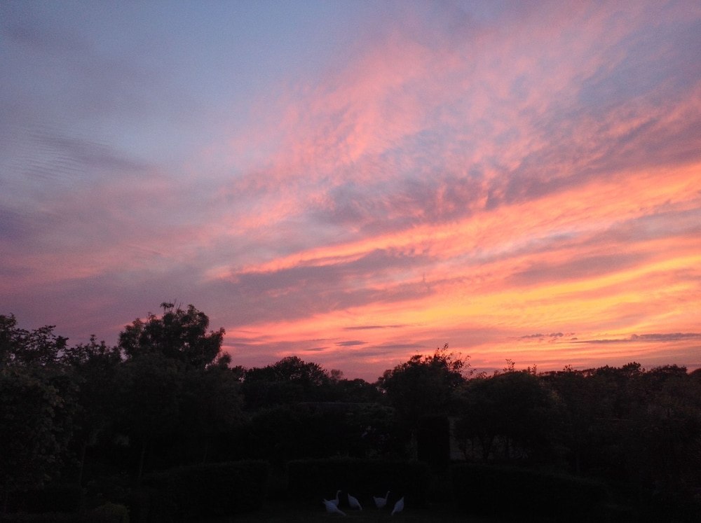 Chichester Vacations - Bolt Hole Earnley - Property Image 13