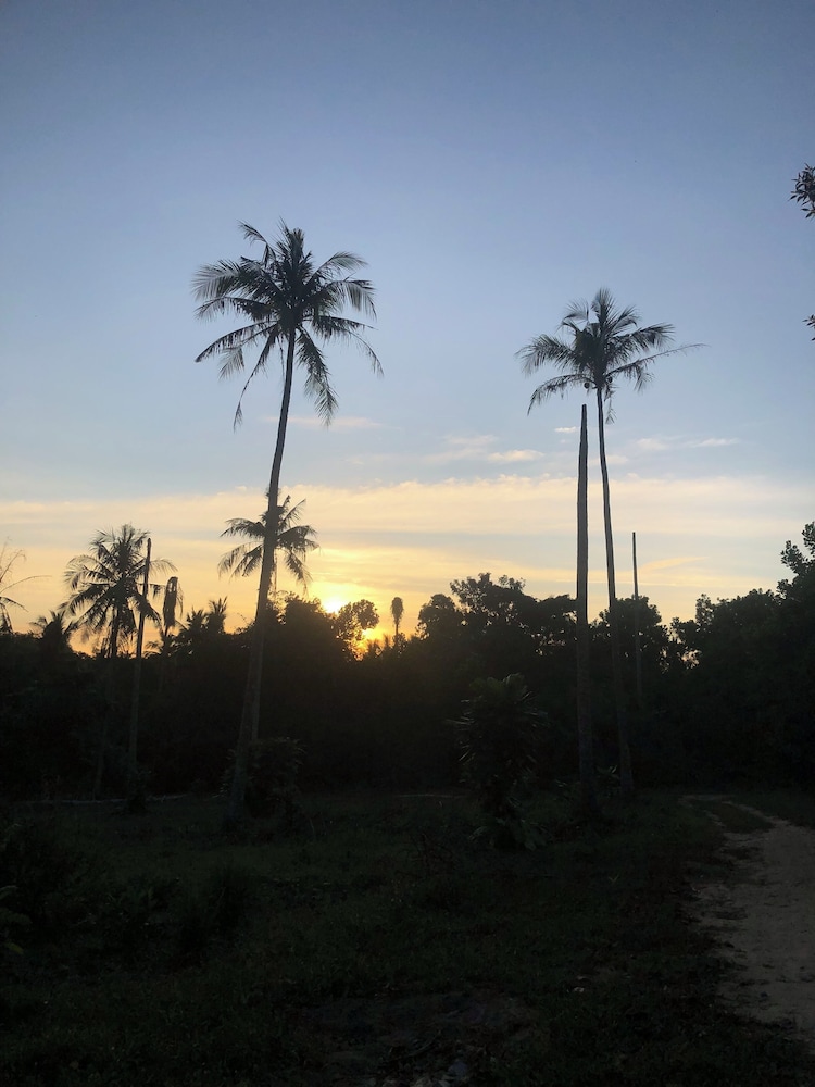 THE SUN HOMESTAY