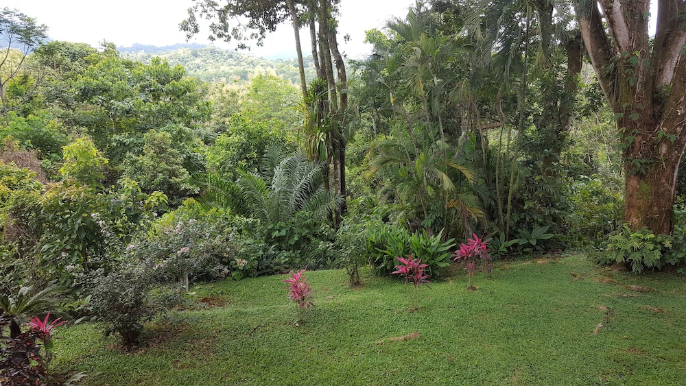 A Little Paradise