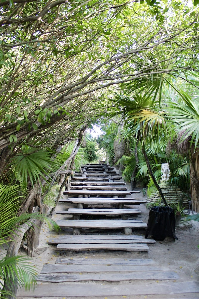 Kimpton Aluna Tulum, an IHG Hotel - Property Image 155