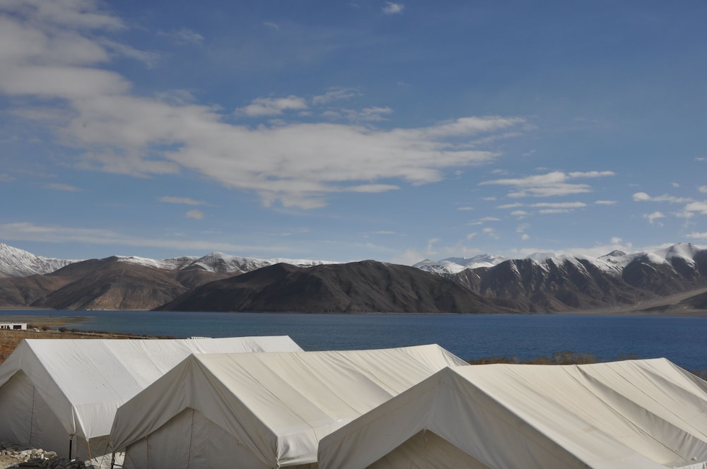 The Ladakh Camp