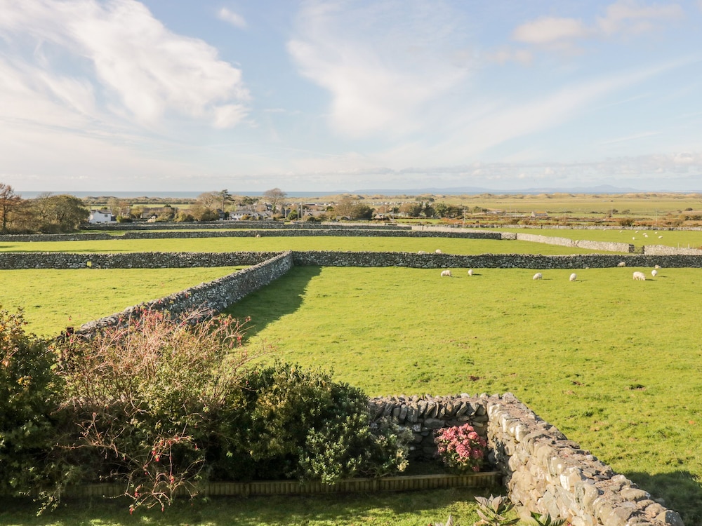 Tyddyn