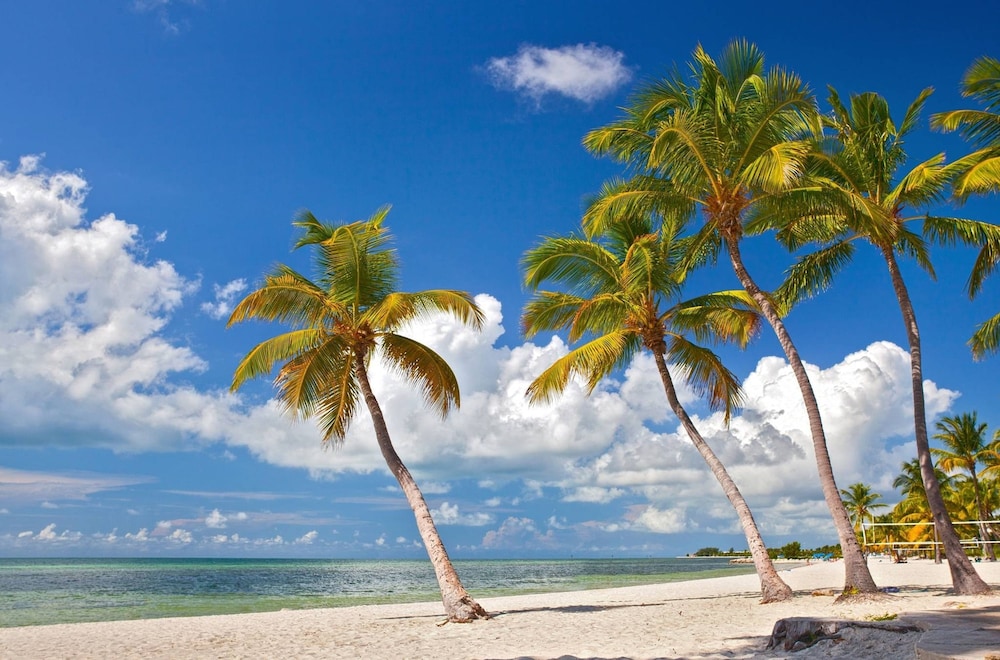 Tropical Dreaming by Avantstay 4 Blks to Beach Private Pool