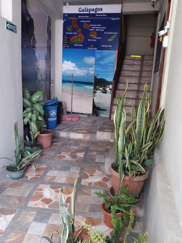 Hostal Miconia