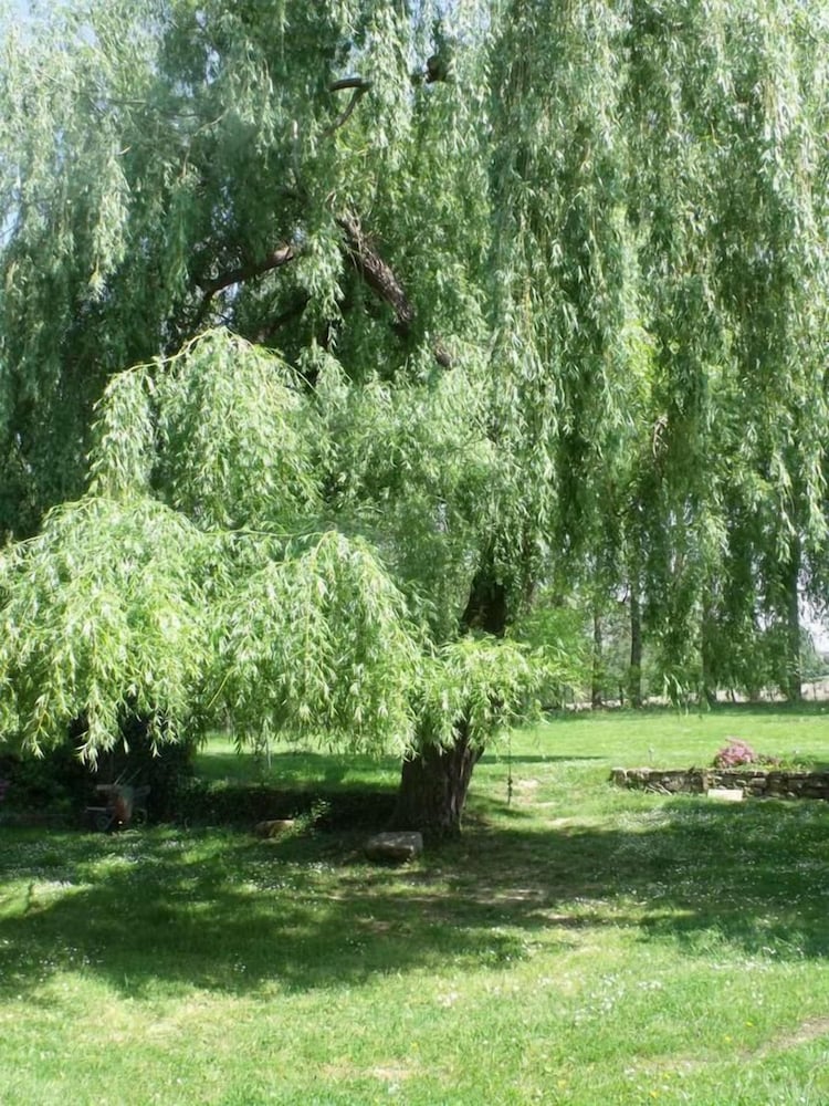 Photo 37