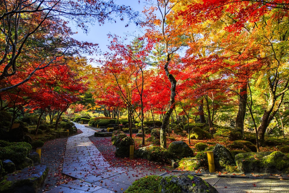 Fujisan Onsen Hotel Kaneyamaen
