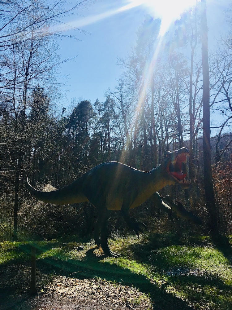 Baumhotel Styrassic Park