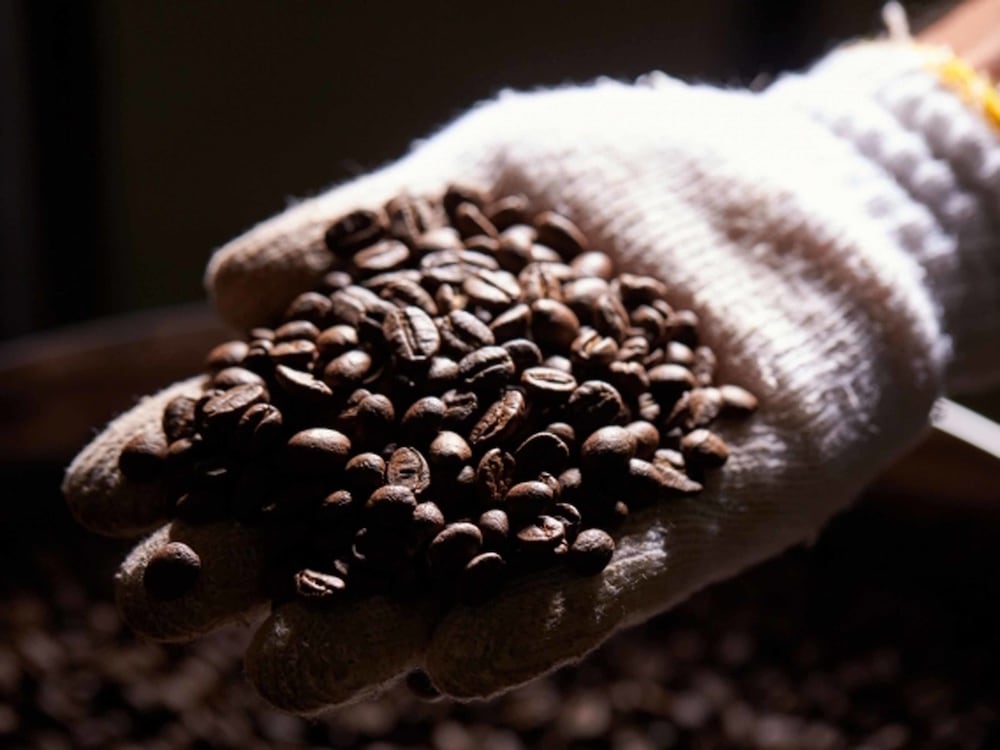Matayoshi Coffee Farm