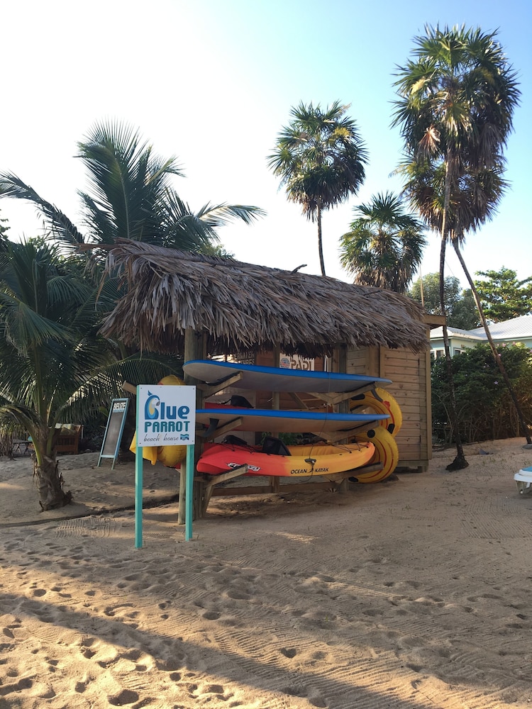Blue Parrot Beach House