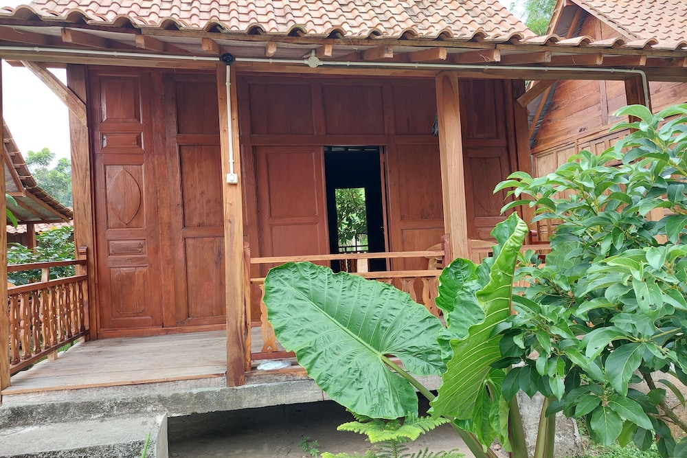 Photo 27