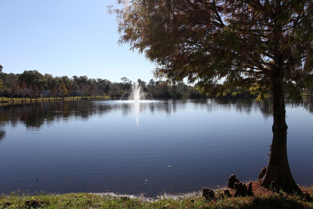 Sherwood Forest RV Resort