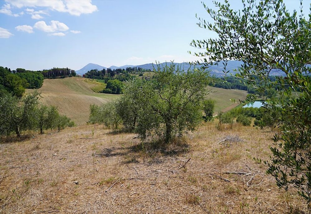 B&B Il Sarale