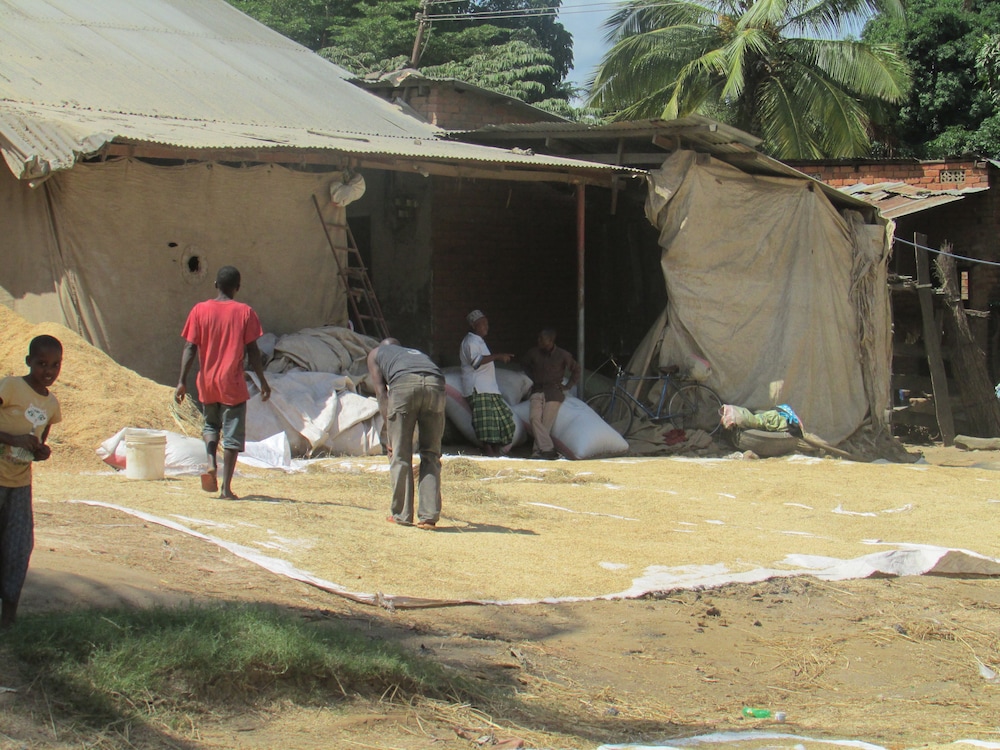Udzungwa Forest Camp