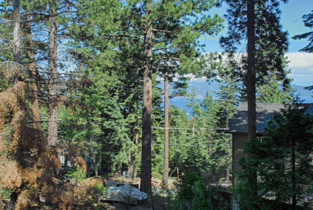 Rim Drive Lookout