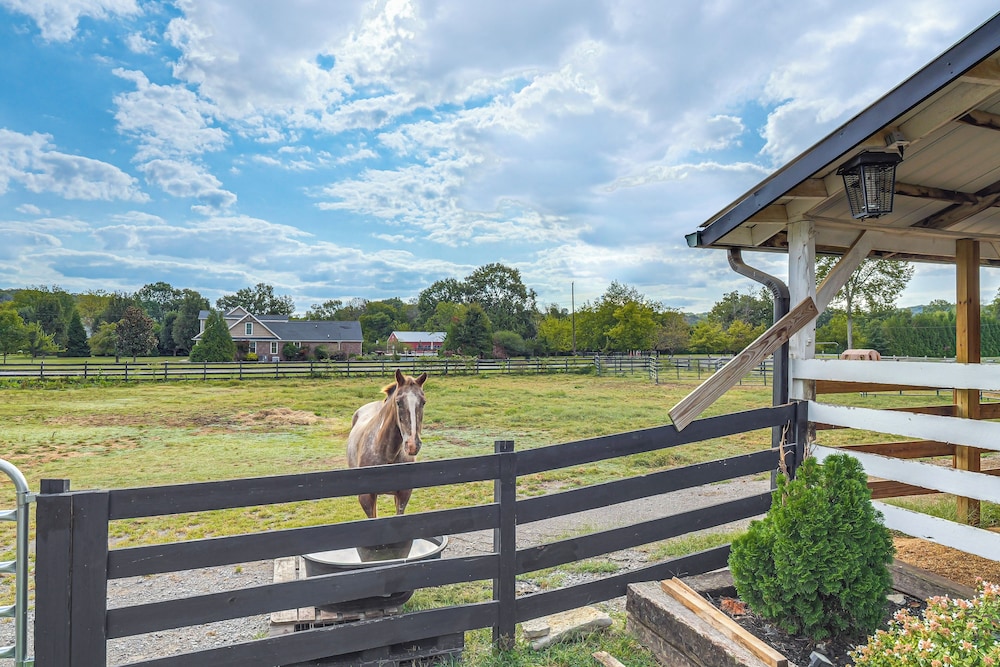 Luxe Stable Suite: Farm Stay in Lebanon!