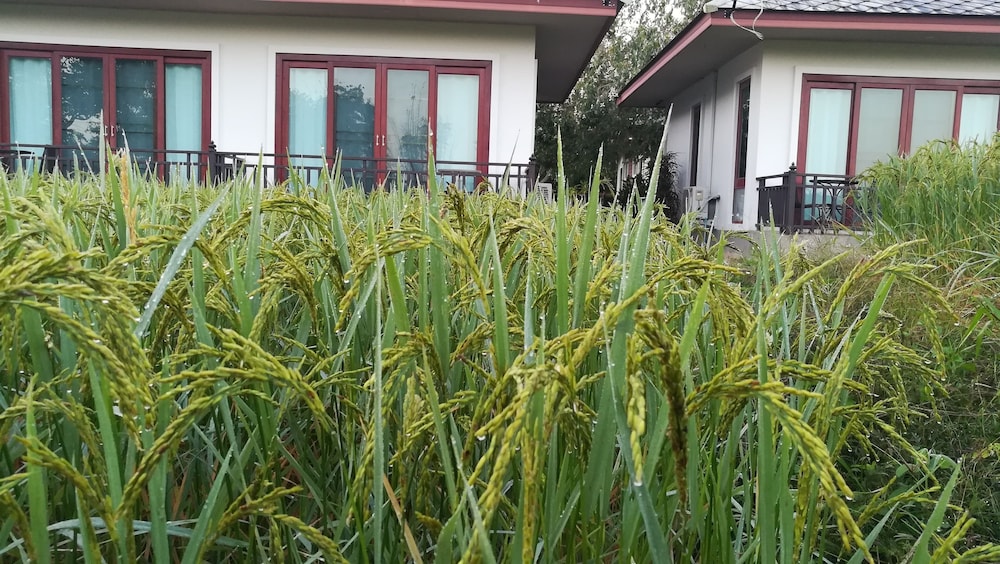 Yotathai Home