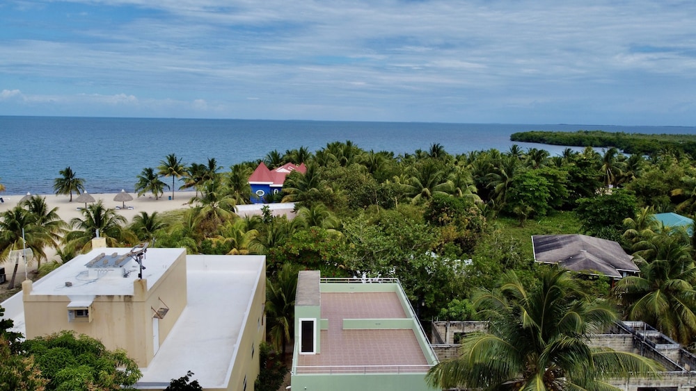 Photo 44