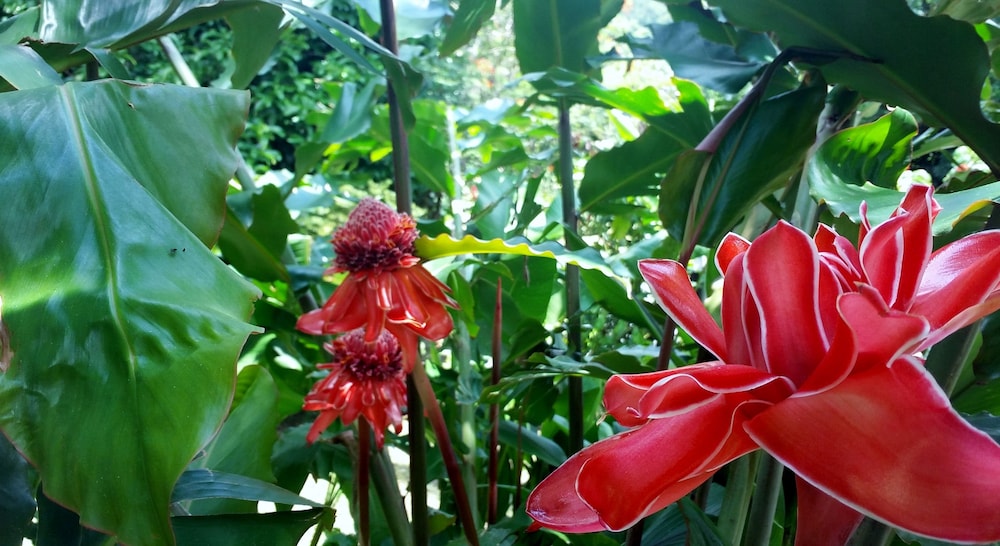 Rancho de Lelo Ecolodge