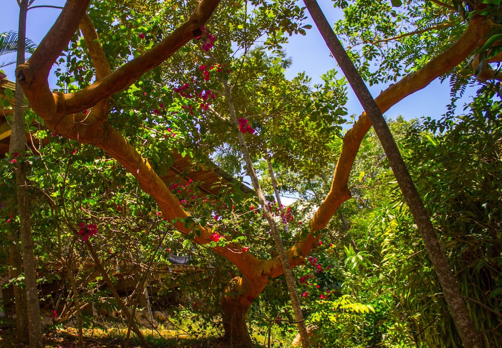 Yacumaman Sanctuary
