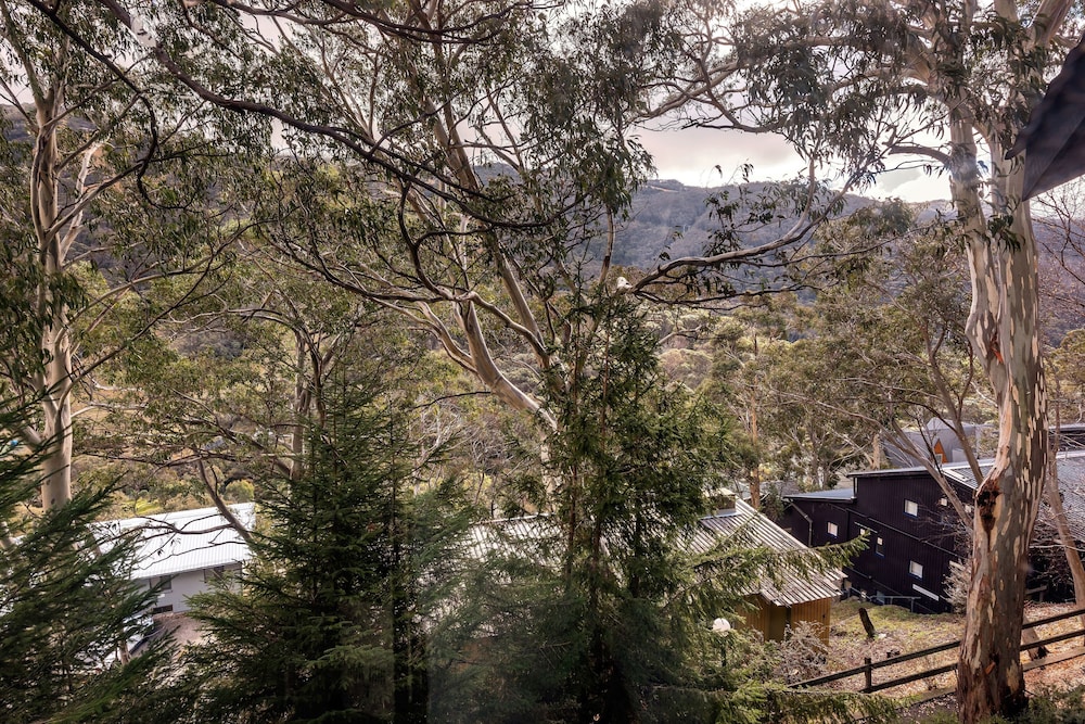Pure Chalet
