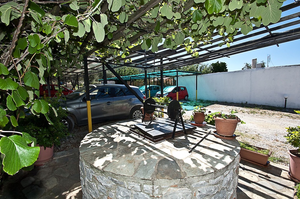 Photo 42