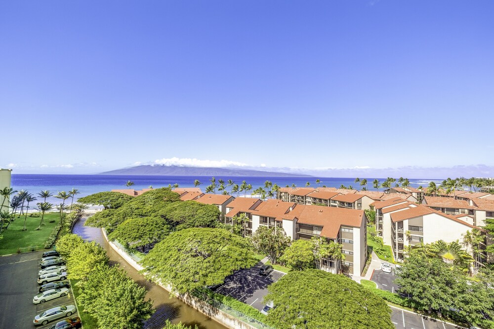 Kaanapali Shores 432 Studio Condo Condo