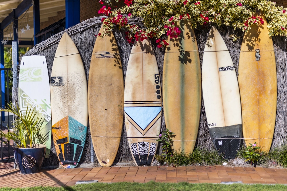 The Carmel Yamba