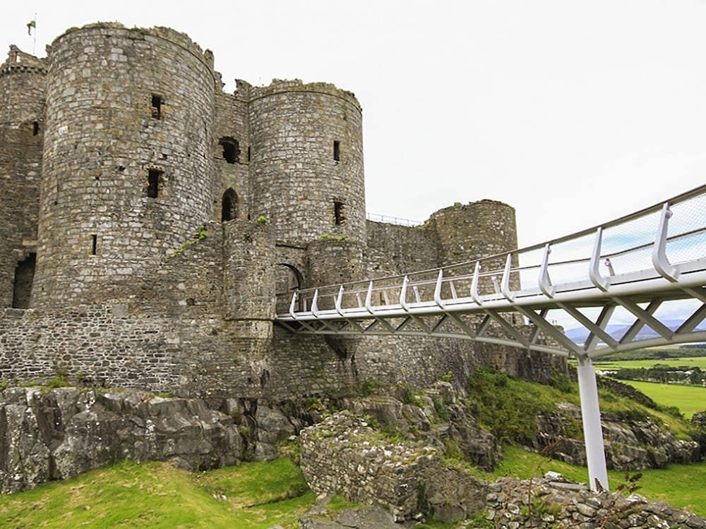 Garnedd Lwyd