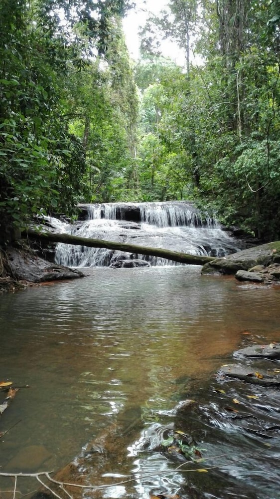 La Ceiba Ecoadventures