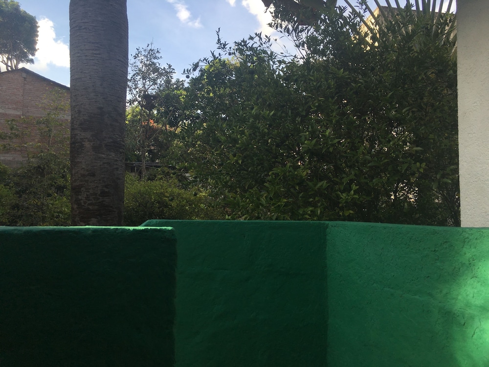 Photo 23