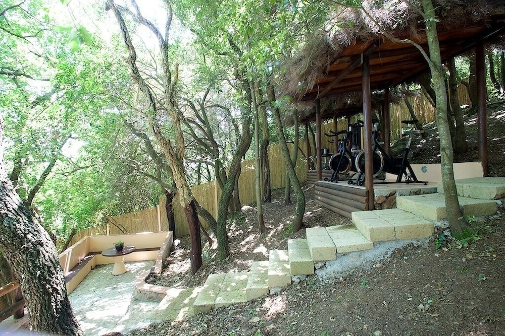 Photo 23