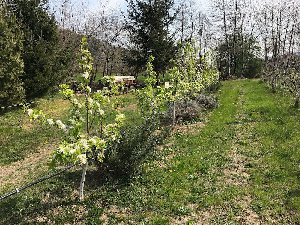 Agriturismo La Virginia