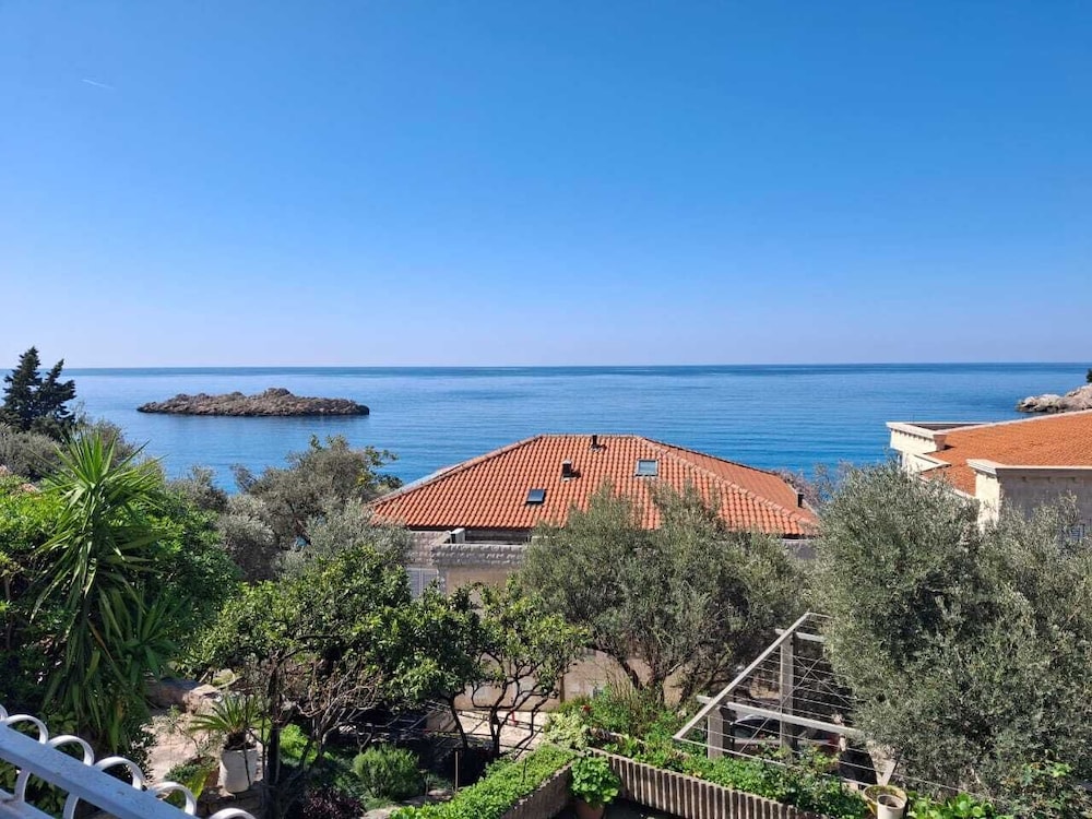 Apartments Andjus