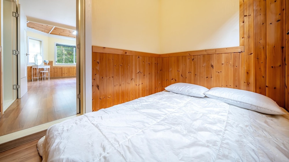Chuncheon Namiseom pet Friendly Pension