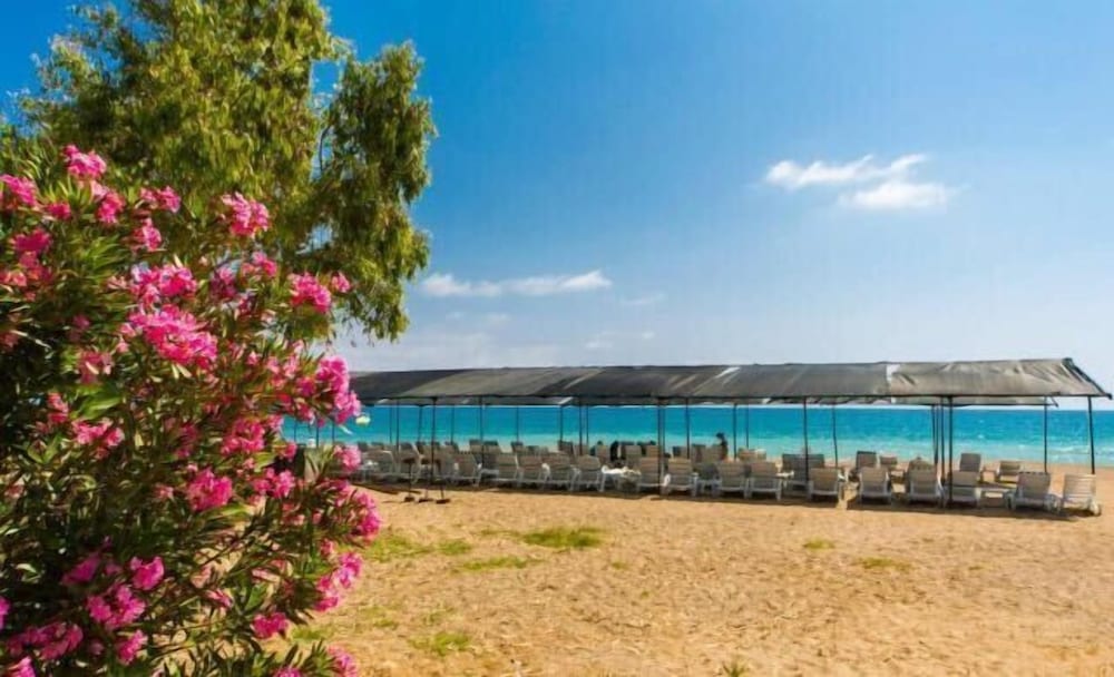 Avalon Beach Hotel - All Inclusive
