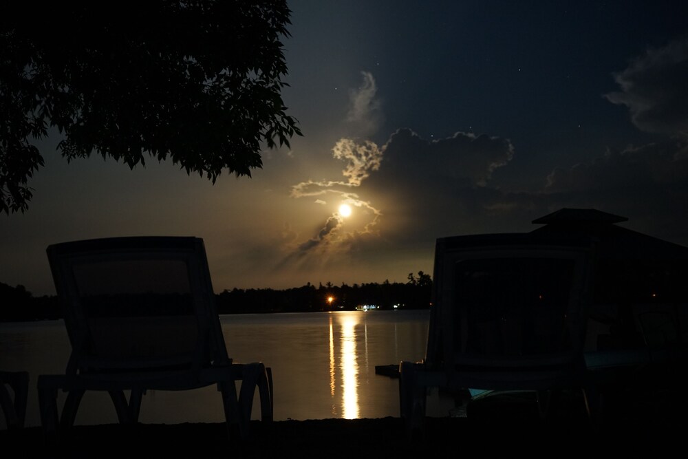 Photo 51