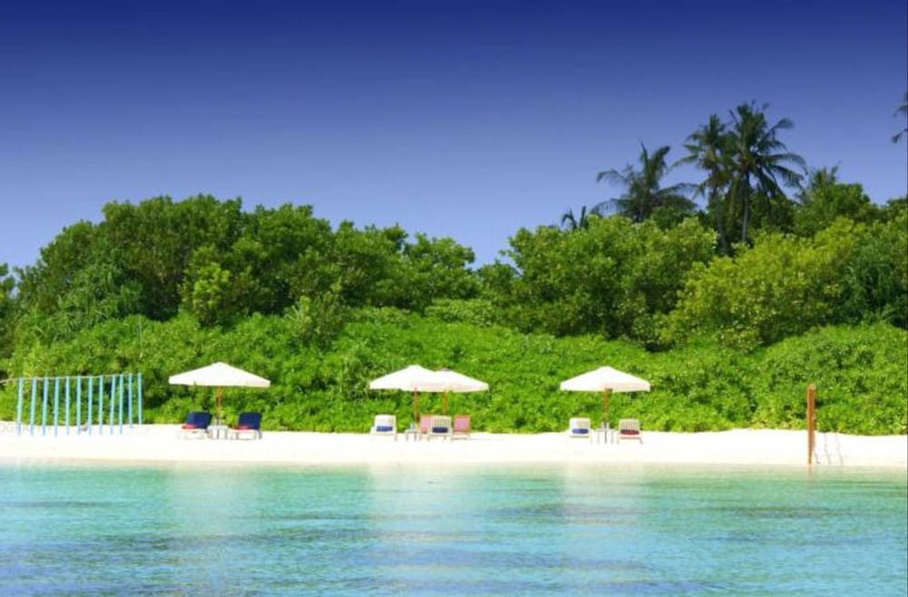 Local Island Inn